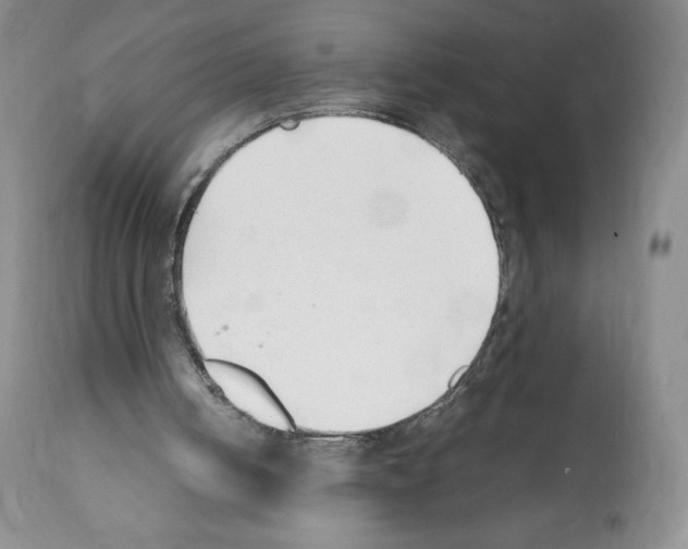 X0000112050050200909151012