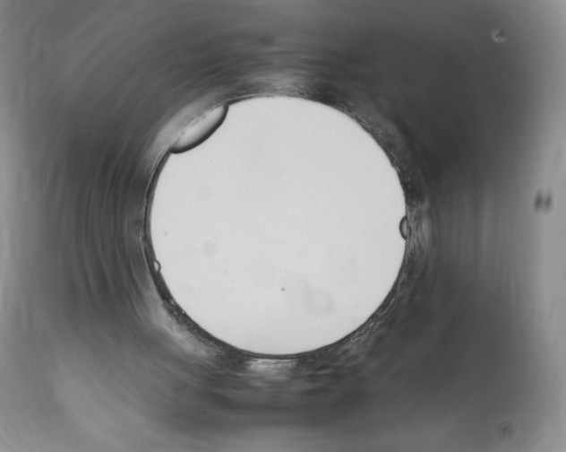 X0000112050051200909151012