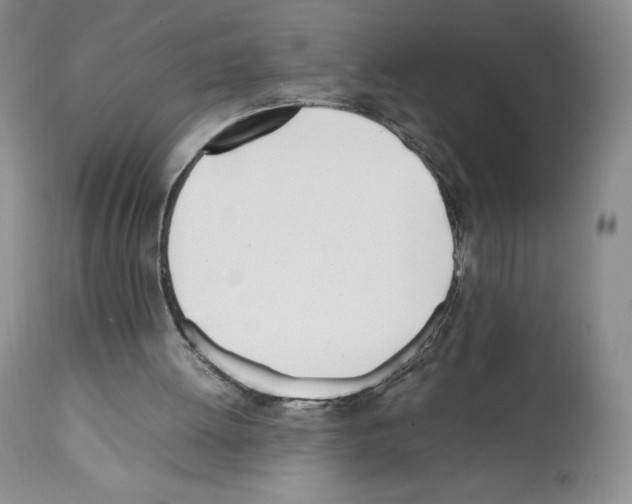X0000112050052200909151012