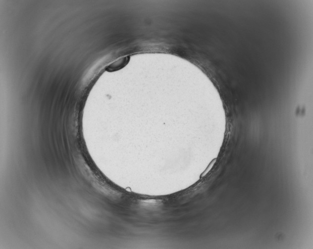 X0000112050053200909151012