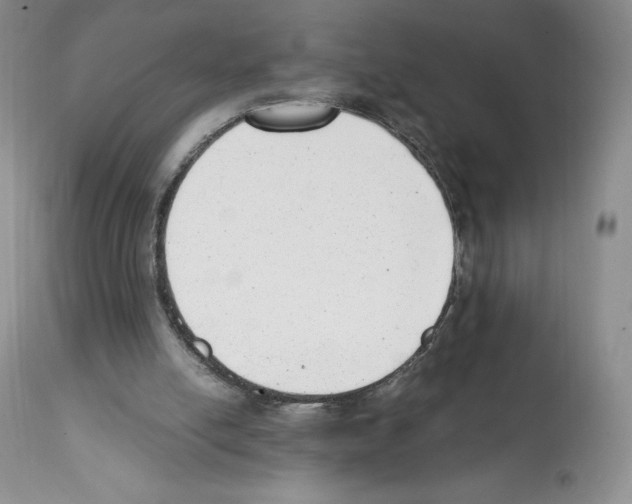 X0000112050054200909151012