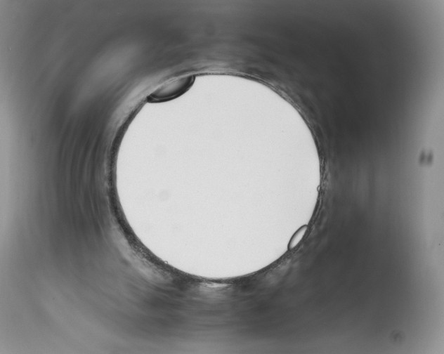 X0000112050055200909151012
