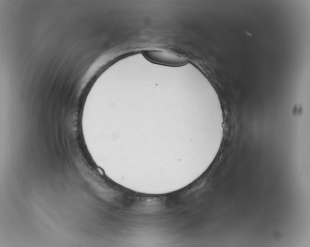 X0000112050056200909151012