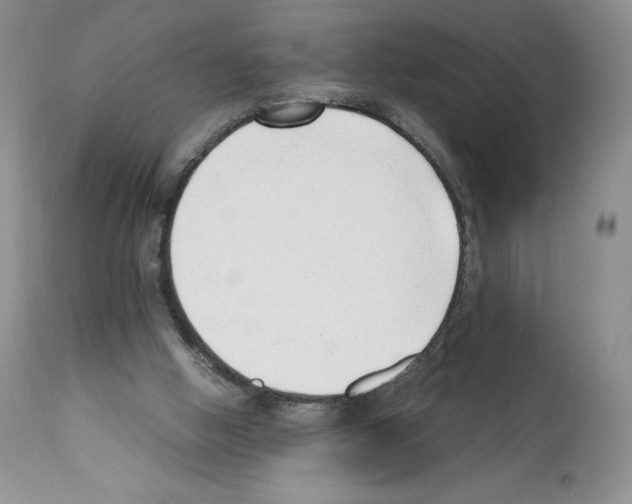 X0000112050058200909151012