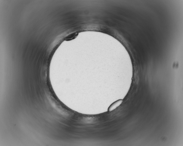X0000112050059200909151012