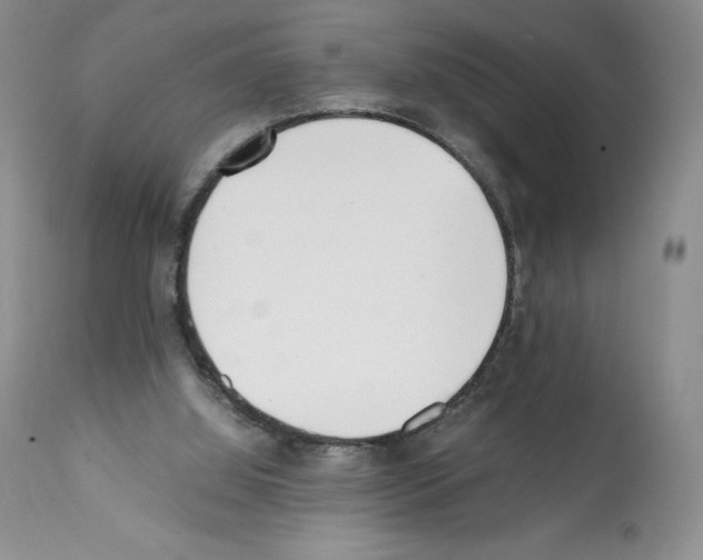 X0000112050060200909151012