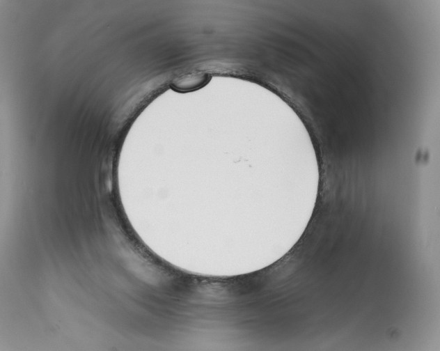 X0000112050062200909151012