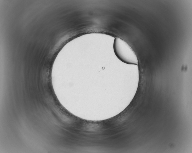 X0000112050063200909151012