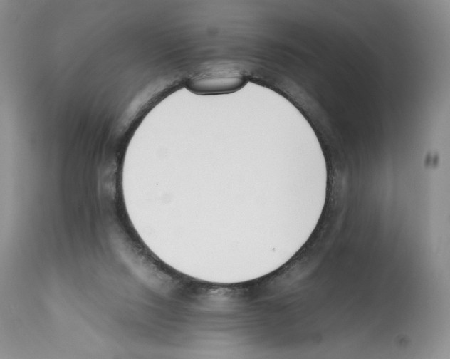 X0000112050064200909151012