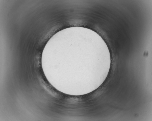 X0000112050065200909151013