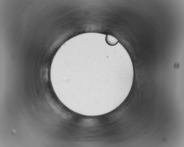 X0000112050067200909151013