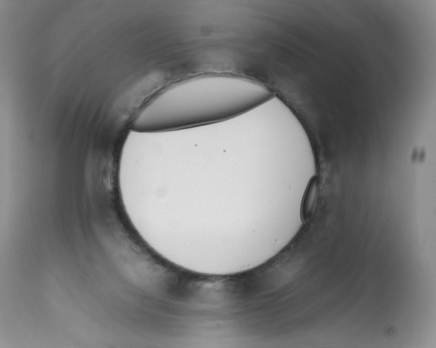 X0000112050068200909151013
