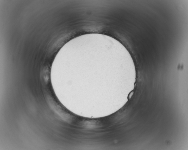 X0000112050069200909151013