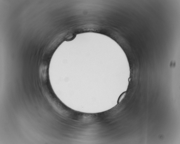 X0000112050070200909151013
