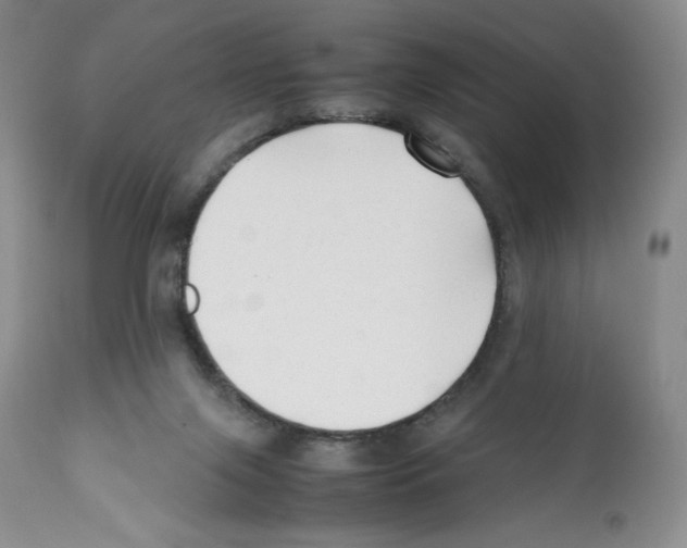 X0000112050071200909151013