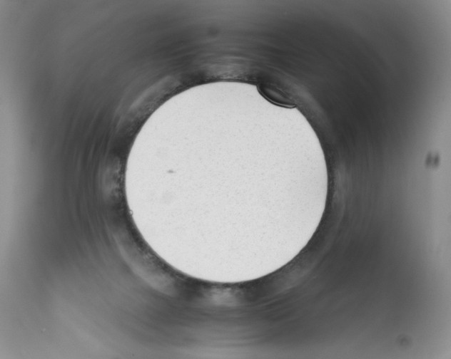 X0000112050073200909151013