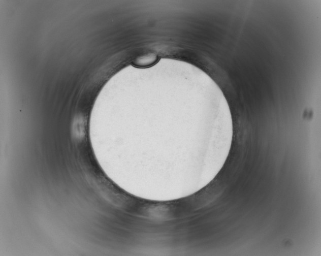 X0000112050075200909151013