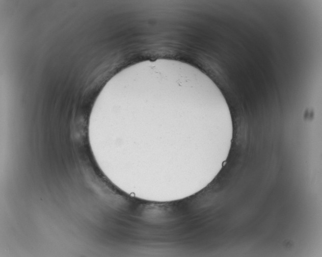X0000112050077200909151013