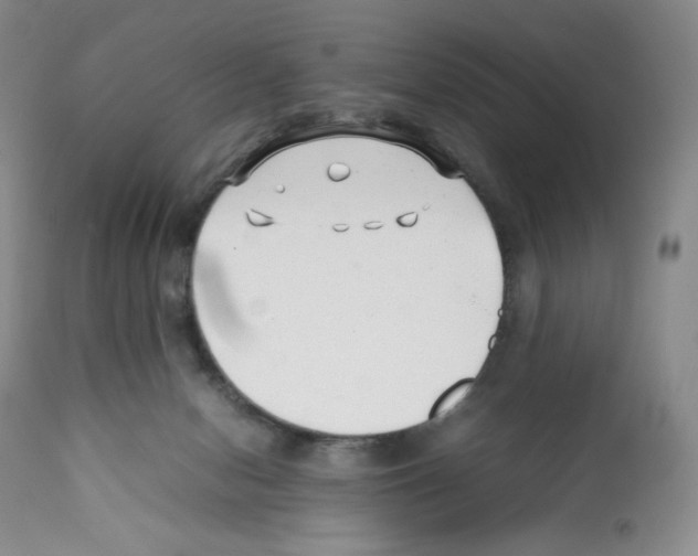 X0000112050078200909151013