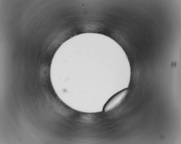 X0000112050079200909151013