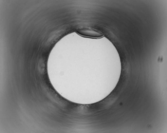 X0000112050080200909151013