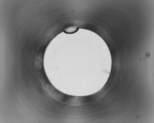 X0000112050082200909151013