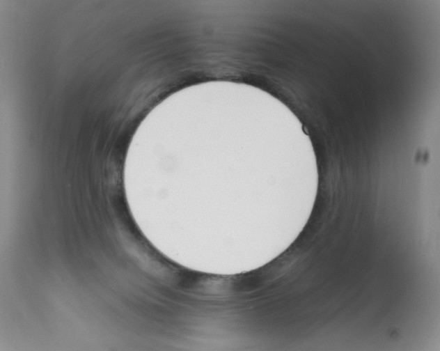 X0000112050084200909151013