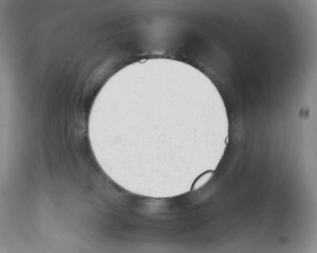 X0000112050085200909151013