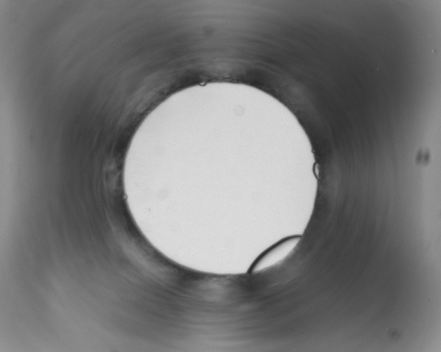 X0000112050086200909151013