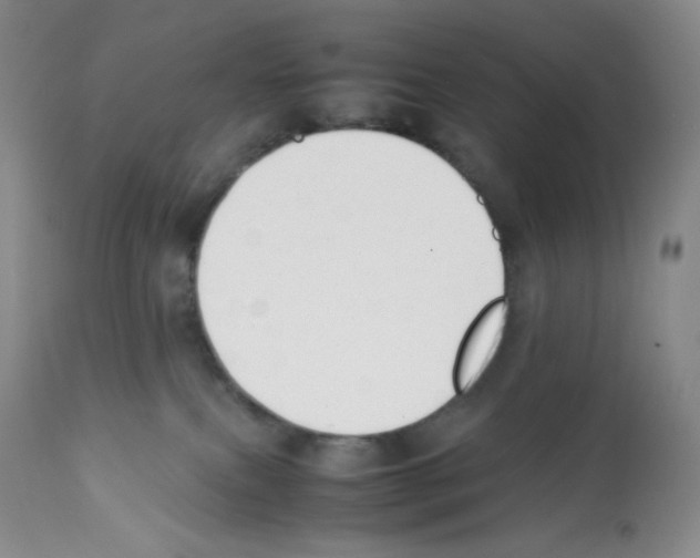 X0000112050087200909151013