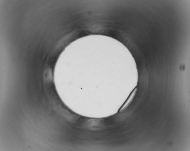 X0000112050089200909151013
