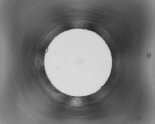X0000112050091200909151013