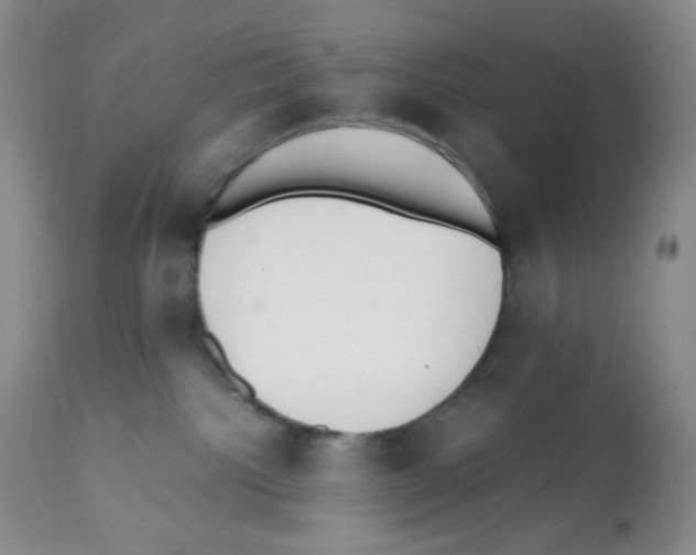X0000112050092200909151013