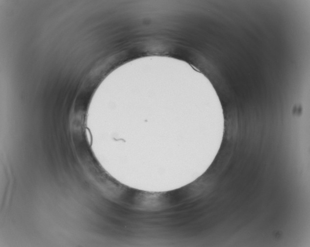 X0000112050093200909151013