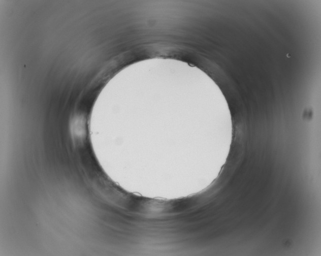 X0000112050094200909151013
