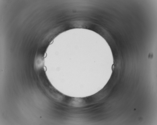 X0000112050095200909151013