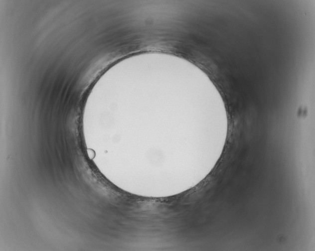 X0000112050098200909151012