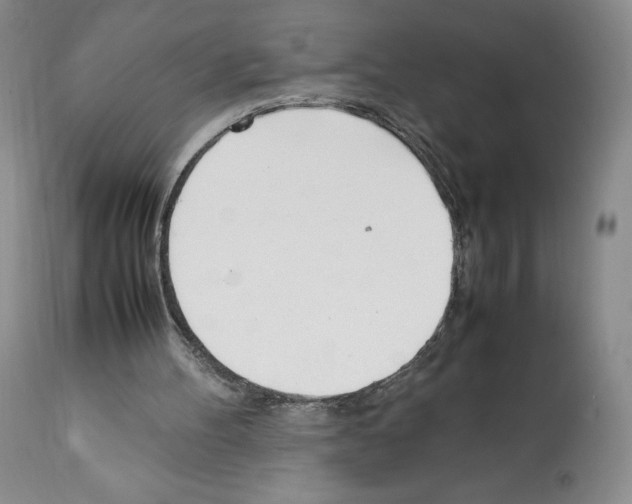 X0000112050100200909151012