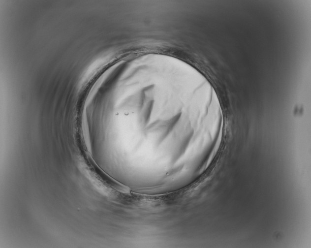 X0000112050101200909151012