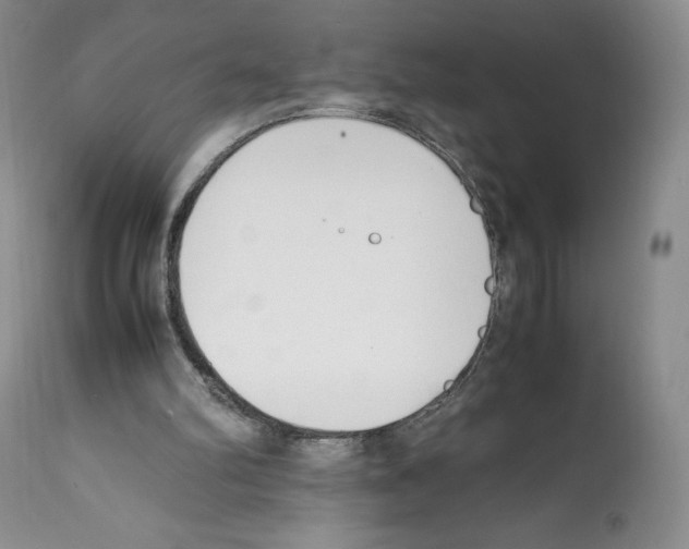 X0000112050102200909151012