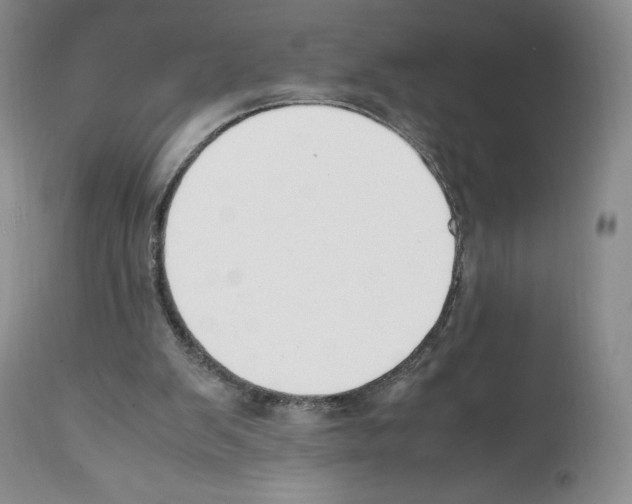 X0000112050103200909151012