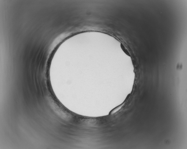 X0000112050104200909151012