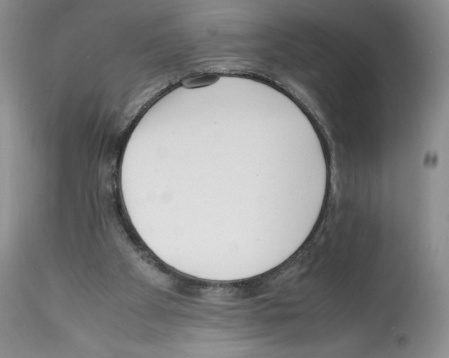 X0000112050105200909151012
