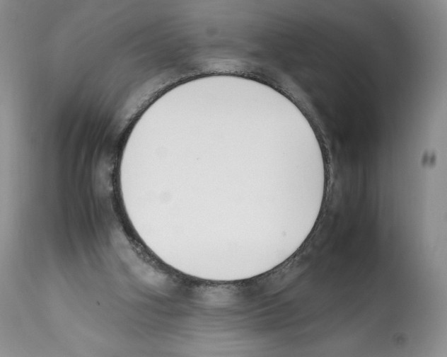 X0000112050106200909151012