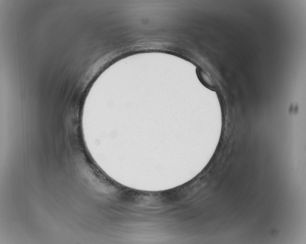 X0000112050107200909151012