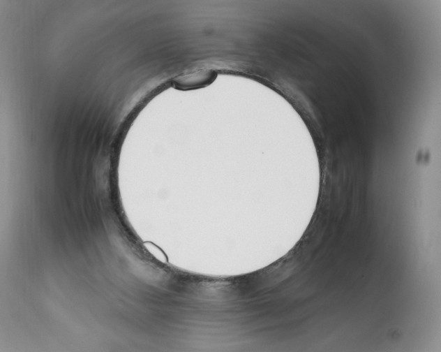 X0000112050108200909151012