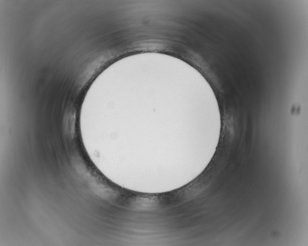 X0000112050110200909151012