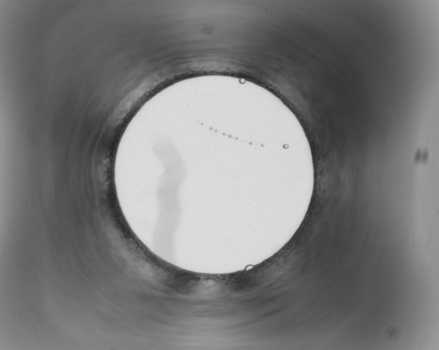 X0000112050111200909151012