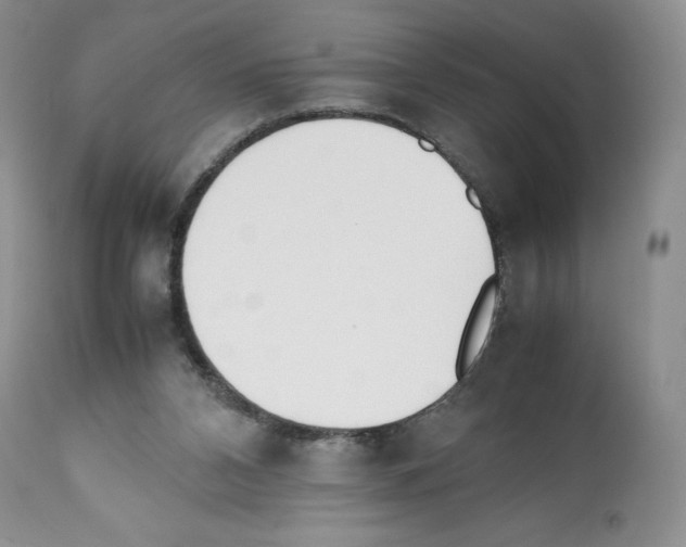X0000112050112200909151012
