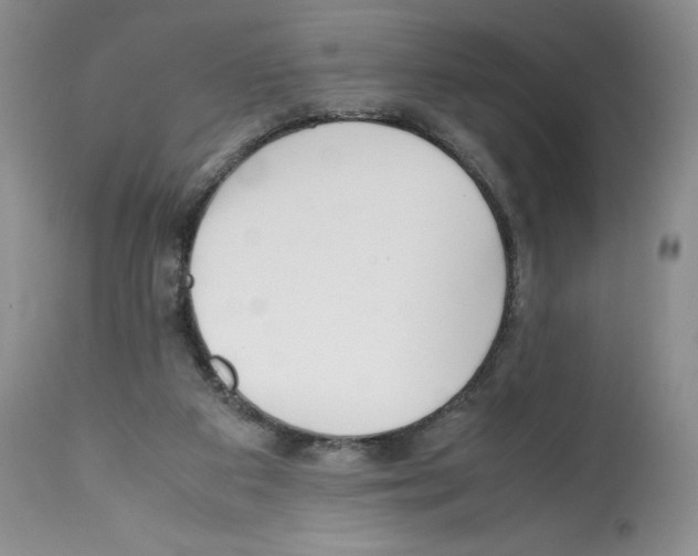 X0000112050113200909151012